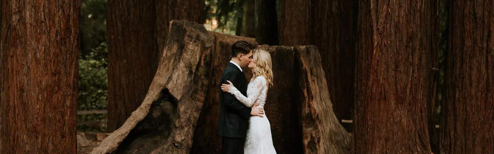Wedding Photography in Forest